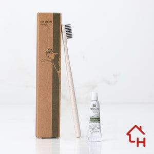 teeth Set "Evergreen" – Toothbrush and Toothpaste – Cardboard Case – Pack of 500 pieces